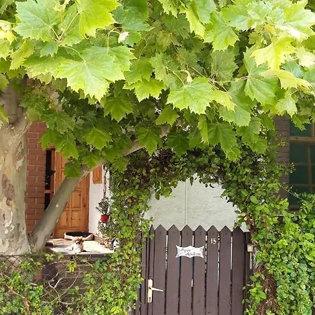 Apartament Agave *