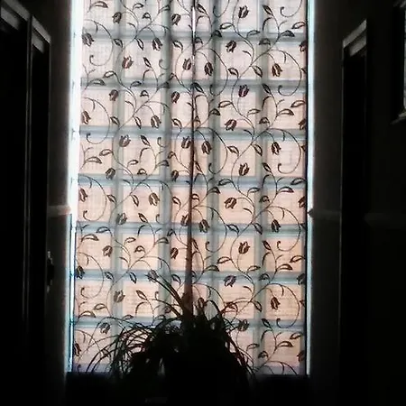 Agave Apartment