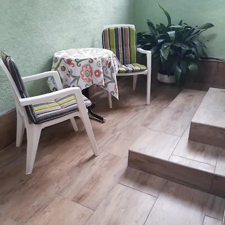 Agave * Веленце